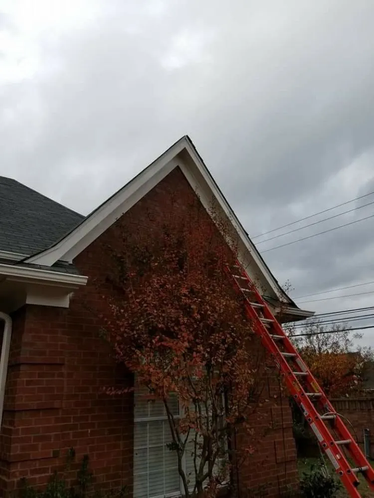 Professional lawn care service experts serving Memphis, TN - Wilson Landscaping