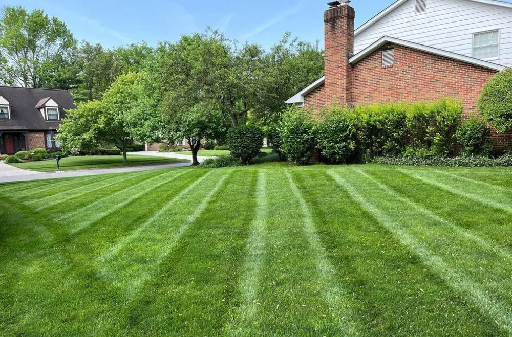 Professional yard maintenance experts serving Worthington, OH - Wilson Landscaping