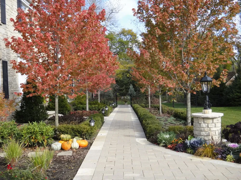 Custom lawn care service in Northbrook, IL - Wilson Lawn and Landscape