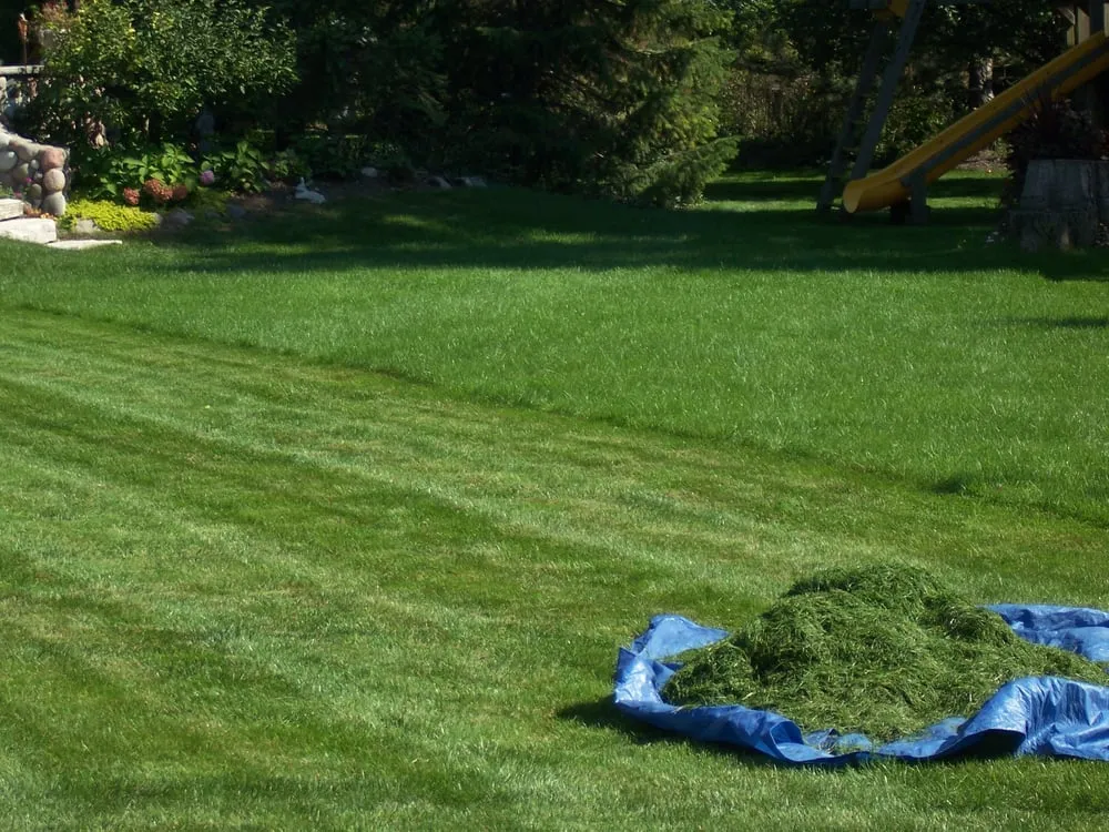 Reliable yard cleanup service for homes in Northbrook, IL by Wilson Lawn and Landscape