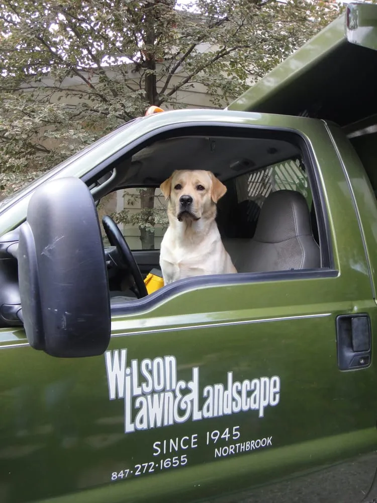 Custom landscape design experts serving Northbrook, IL - Wilson Lawn and Landscape