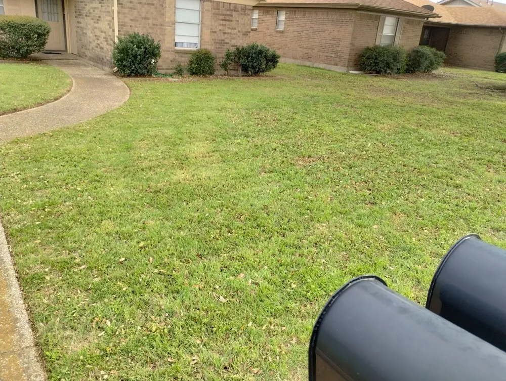 Professional landscape installation for residential properties across Cleburne, TX - Wilson Lawn Care