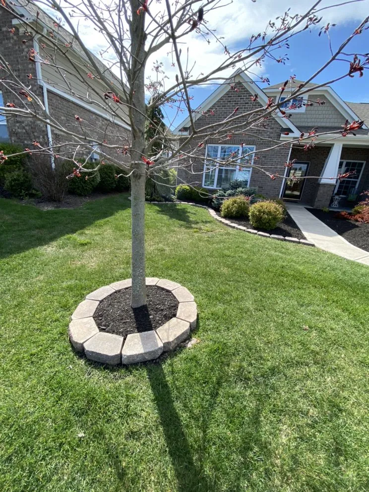 Top-rated yard maintenance in Columbus, IN by Wilson Lawn Care Services