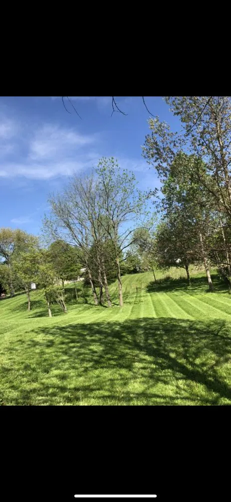 Top-rated yard maintenance in Columbus, IN by Wilson Lawn Care Services