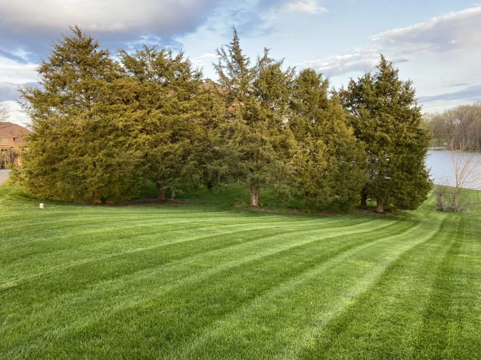 Expert residential landscaping experts serving Columbus, IN - Wilson Lawn Care Services