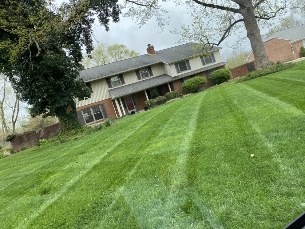 Affordable landscape installation for beautiful yards across Columbus, IN - Wilson Lawn Care Services