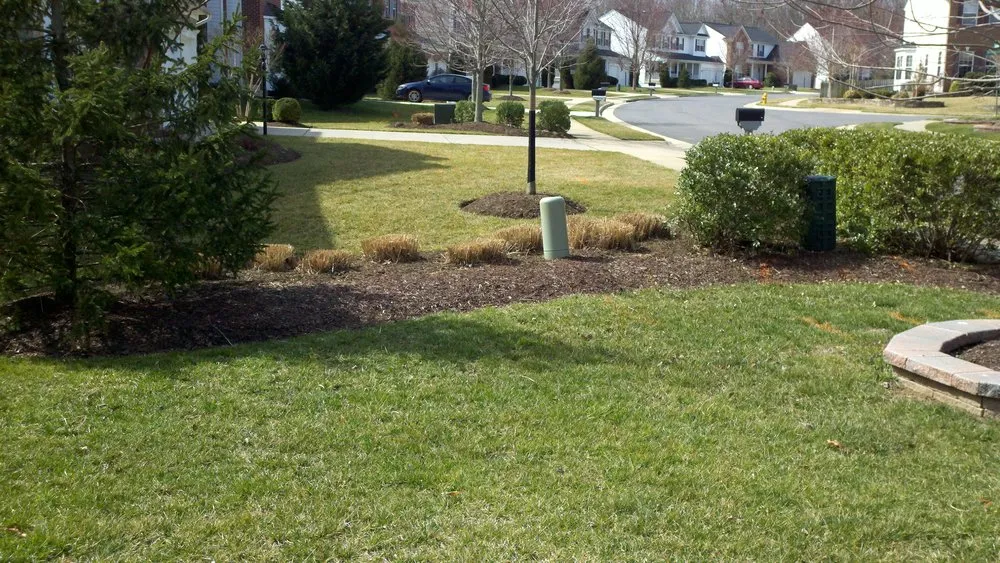Professional landscape design in Manassas, VA - Wilson Lawn Care Services