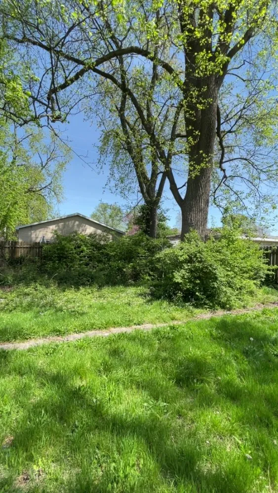 Professional yard cleanup service for residential properties in Paris, IL by Wilson Lawn Maintenance