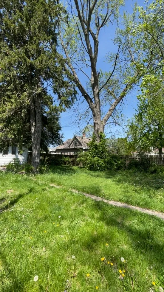 Top-rated yard cleanup service for residential properties across Paris, IL - Wilson Lawn Maintenance