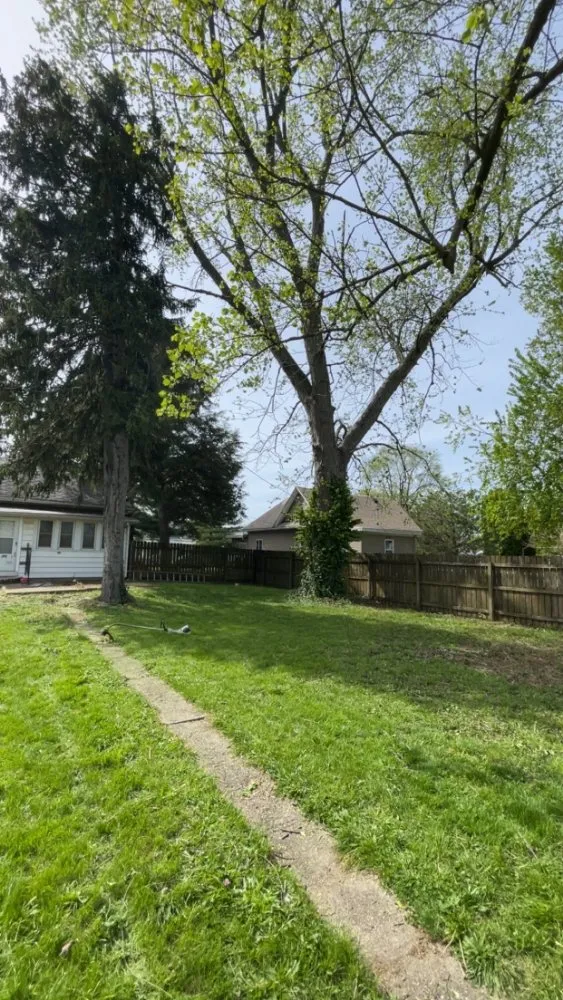 Expert yard cleanup service with custom design in Paris, IL by Wilson Lawn Maintenance