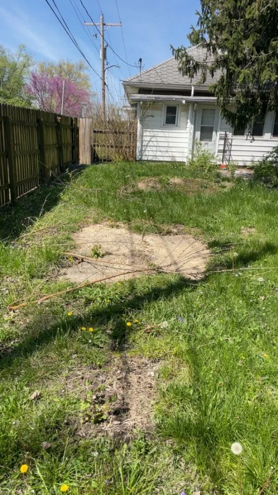 Affordable lawn mowing service in Paris, IL - Wilson Lawn Maintenance