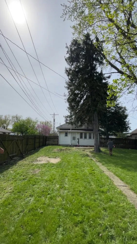 Local yard maintenance for year-round maintenance in Paris, IL by Wilson Lawn Maintenance