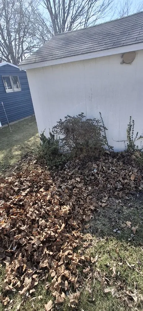 Local garden landscaping experts serving Paris, IL - Wilson Lawn Maintenance