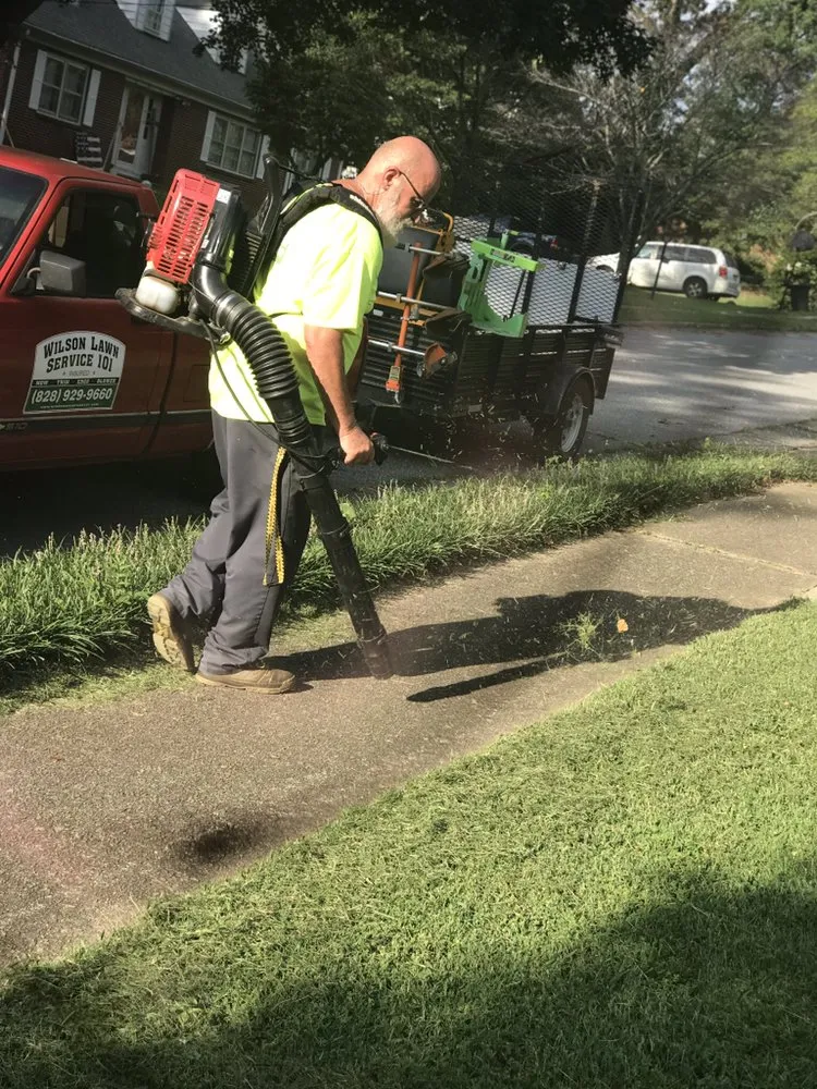 Expert yard cleanup service in Hudson, NC - Wilson Lawn Mowing Service