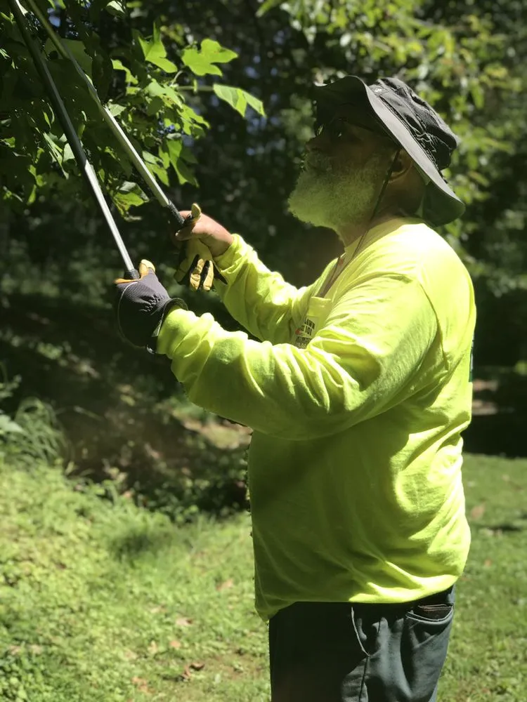 Professional yard maintenance with custom design across Hudson, NC - Wilson Lawn Mowing Service