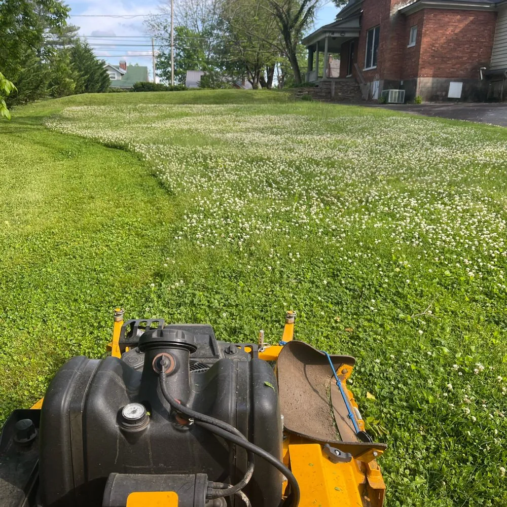 Expert landscaping services experts serving Hudson, NC - Wilson Lawn Mowing Service