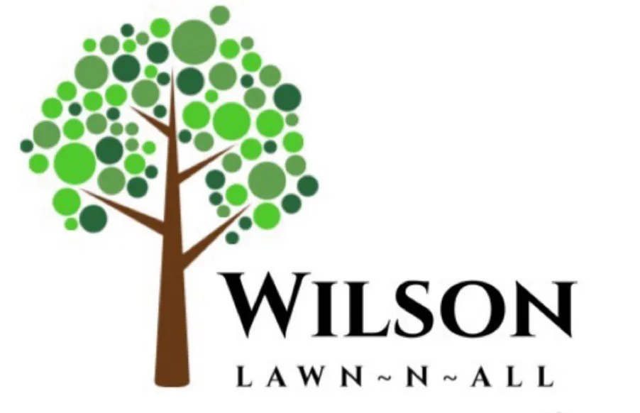 Top-rated outdoor landscaping experts serving Schertz, TX - Wilson Lawn N All