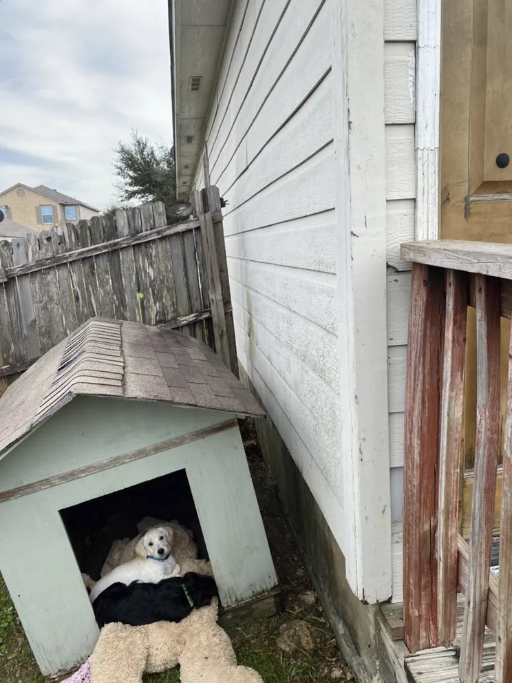 Affordable lawn mowing service for outdoor upgrades in Schertz, TX by Wilson Lawn N All