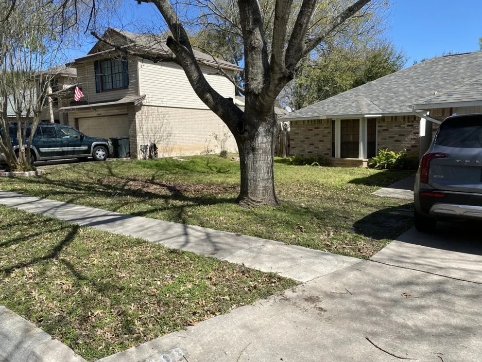 Affordable garden landscaping for year-round maintenance across Schertz, TX - Wilson Lawn N All