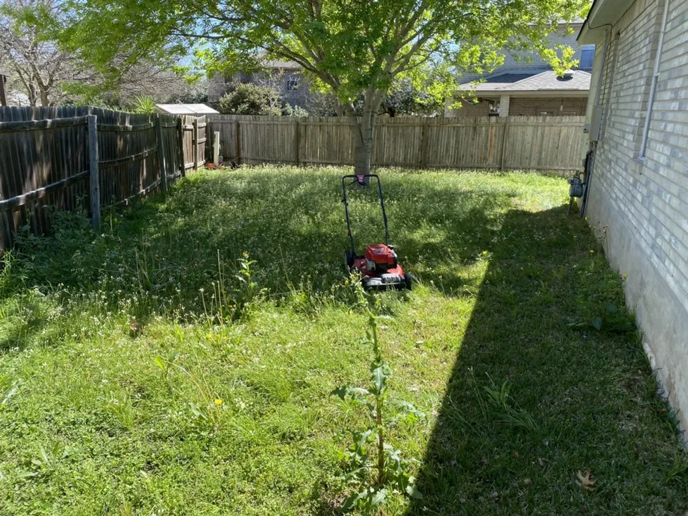 Top-rated garden landscaping in Schertz, TX - Wilson Lawn N All