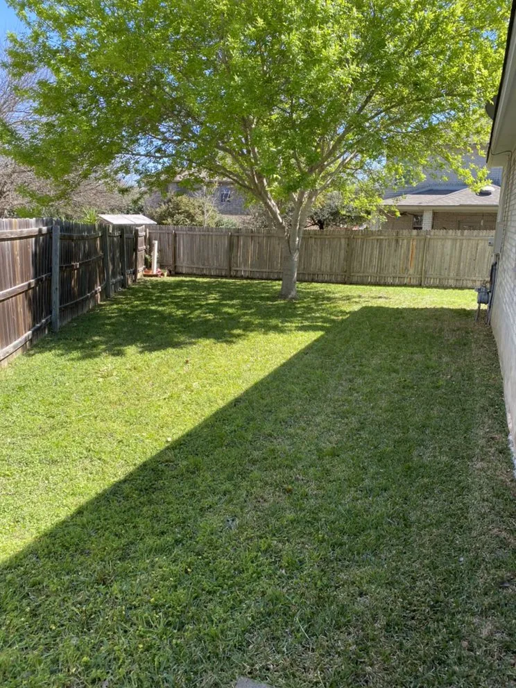 Affordable yard cleanup service in Schertz, TX by Wilson Lawn N All