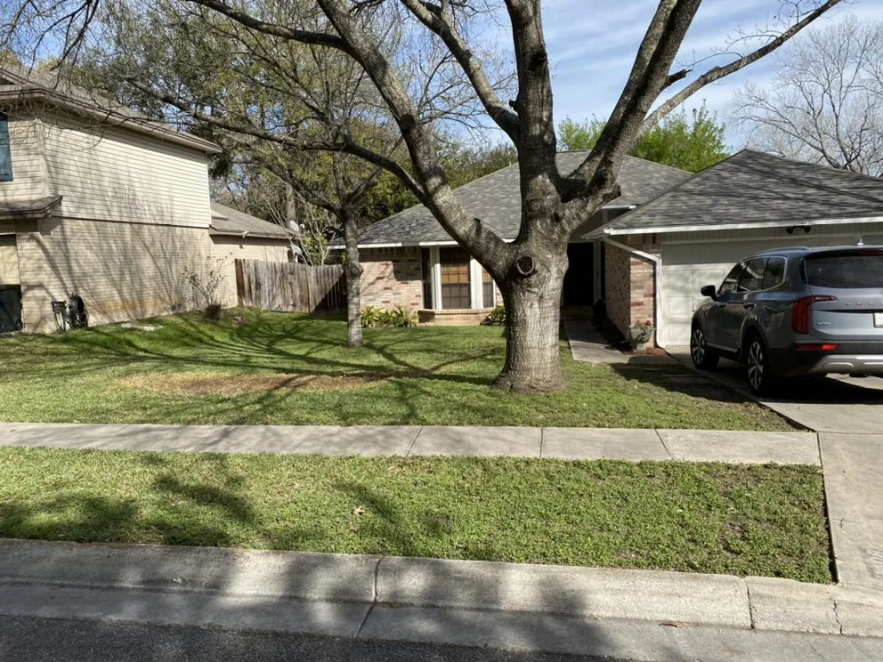 Top-rated lawn care service in Schertz, TX by Wilson Lawn N All