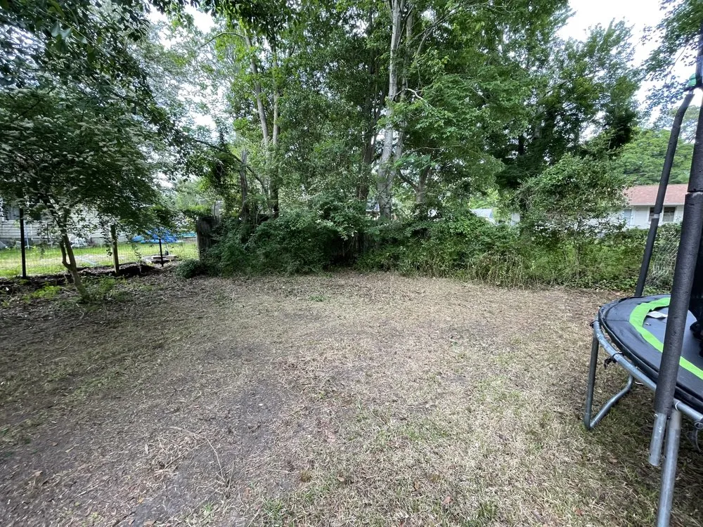 Trusted landscaping services for beautiful yards across Jacksonville, NC - Wilson Lawncare Services