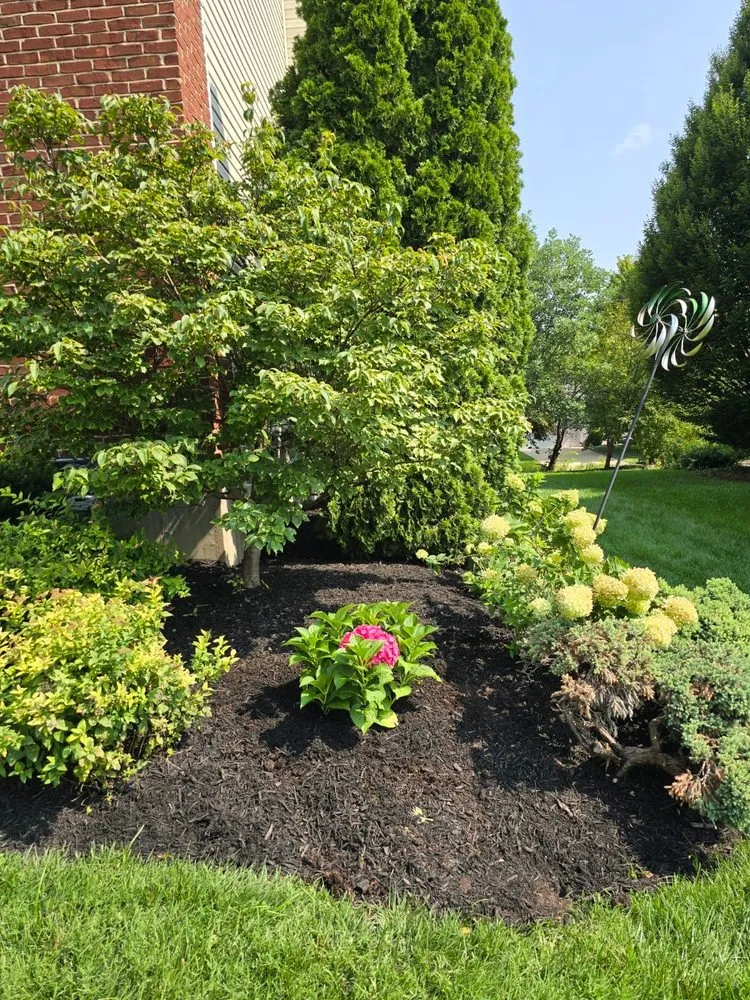Reliable lawn care service for outdoor upgrades in Saint Louis, MO by Wilson Loyalty Landscaping Services