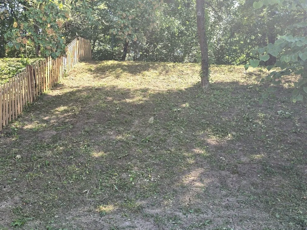 Professional yard cleanup service for year-round maintenance across Saint Louis, MO - Wilson Loyalty Landscaping Services