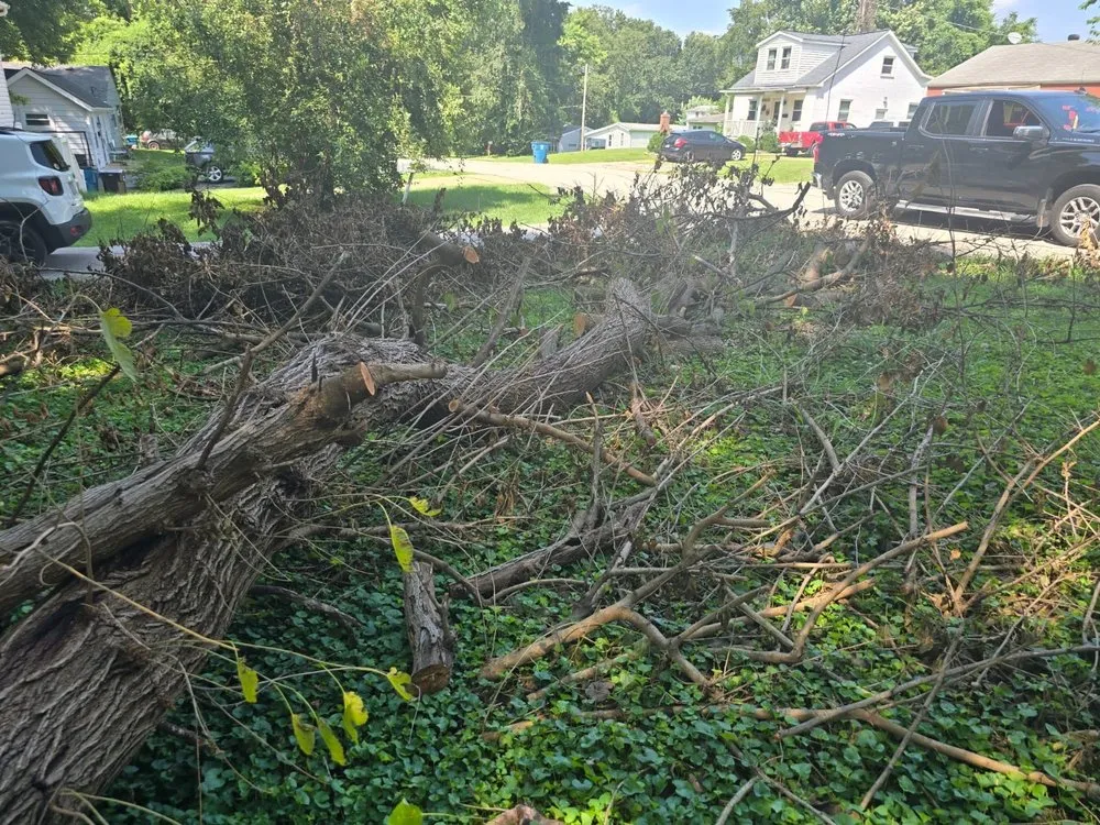 Custom garden landscaping in Saint Louis, MO - Wilson Loyalty Landscaping Services