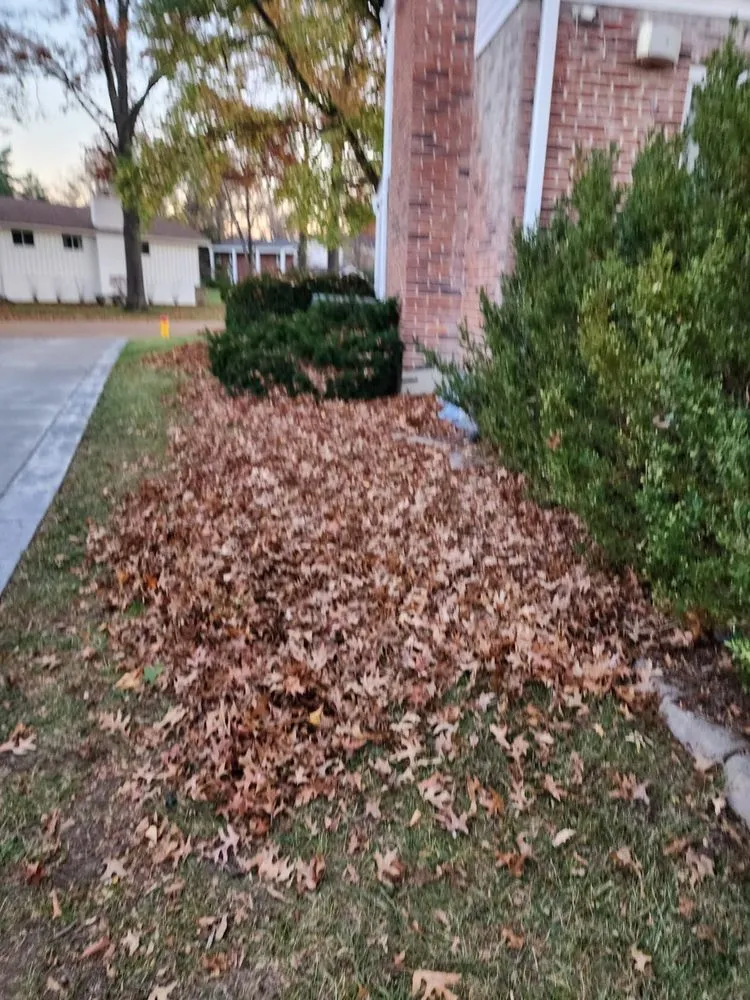 Local outdoor landscaping for residential properties across Saint Louis, MO - Wilson Loyalty Landscaping Services