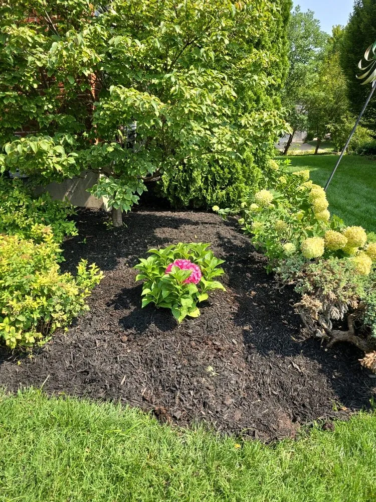 Professional lawn mowing service in Saint Louis, MO - Wilson Loyalty Landscaping Services