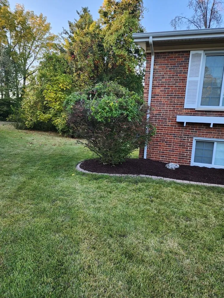 Affordable residential landscaping for beautiful yards across Saint Louis, MO - Wilson Loyalty Landscaping Services