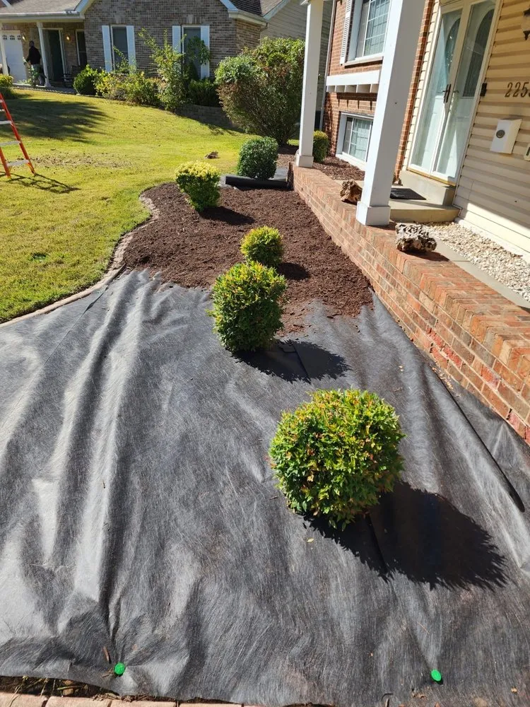 Affordable landscape installation for residential properties across Saint Louis, MO - Wilson Loyalty Landscaping Services