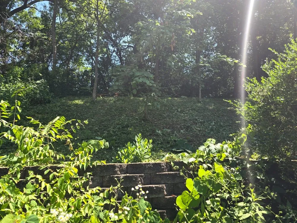 Custom lawn care service near you across Saint Louis, MO - Wilson Loyalty Landscaping Services