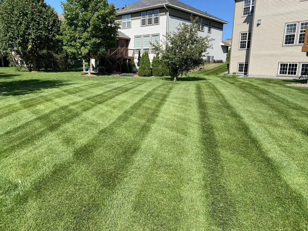 Local yard cleanup service experts serving Manitou Beach, MI - Wilson Outdoor Services