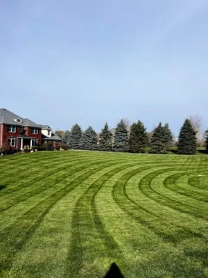 Wilson Outdoor Services