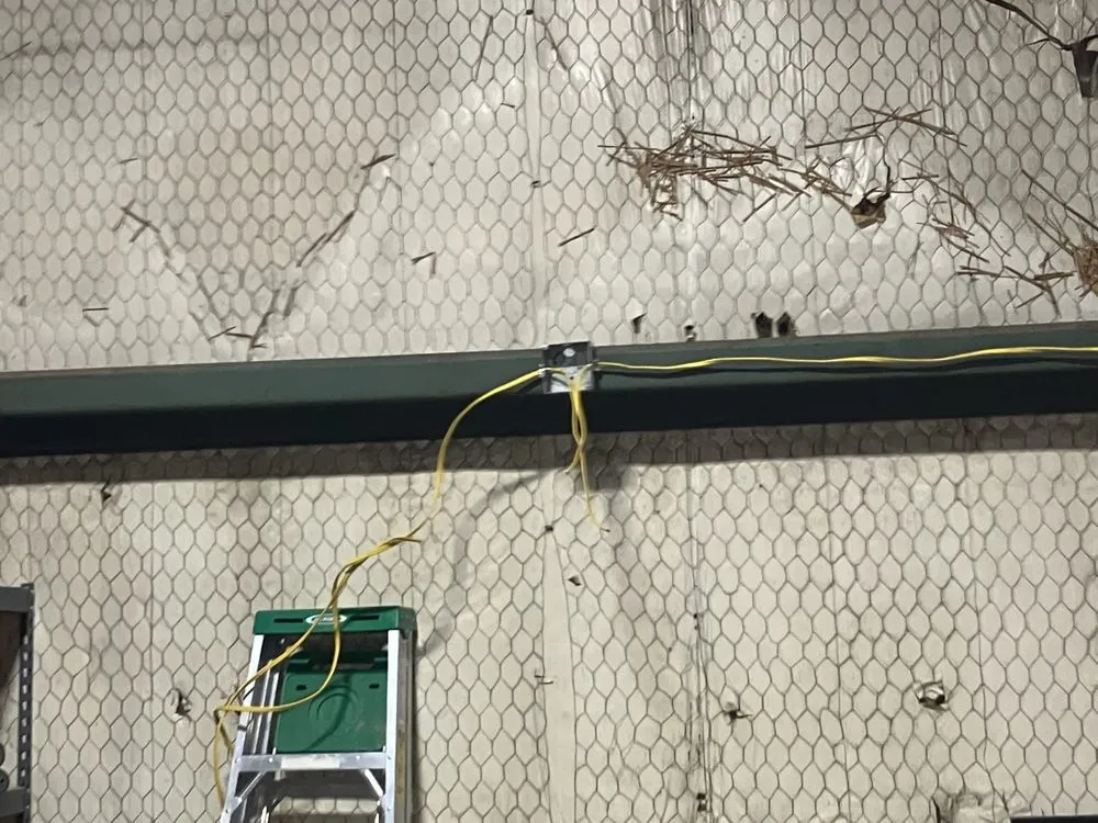 Affordable yard cleanup service in Shelbyville, TN by Wilson Preferred Services