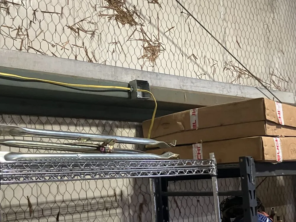 Affordable yard cleanup service for year-round maintenance in Shelbyville, TN by Wilson Preferred Services