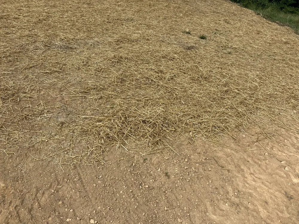 Reliable landscape installation for homes in Shelbyville, TN by Wilson Preferred Services