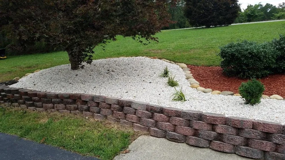 Expert yard maintenance experts serving Keavy, KY - Wilson Pro Services