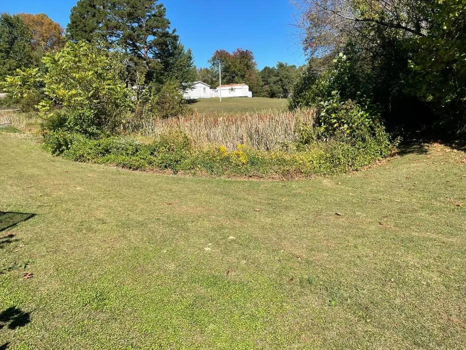 Expert outdoor landscaping for homes across Keavy, KY - Wilson Pro Services