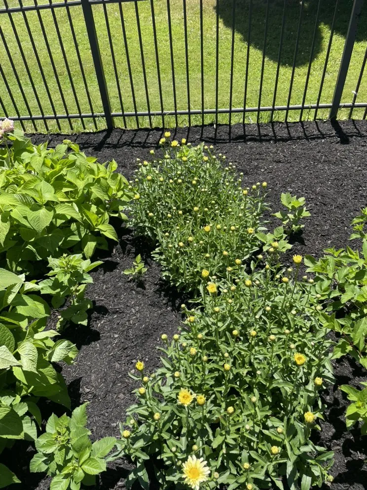 Local garden landscaping for residential properties in Walworth, NY by Wilson property maintenance