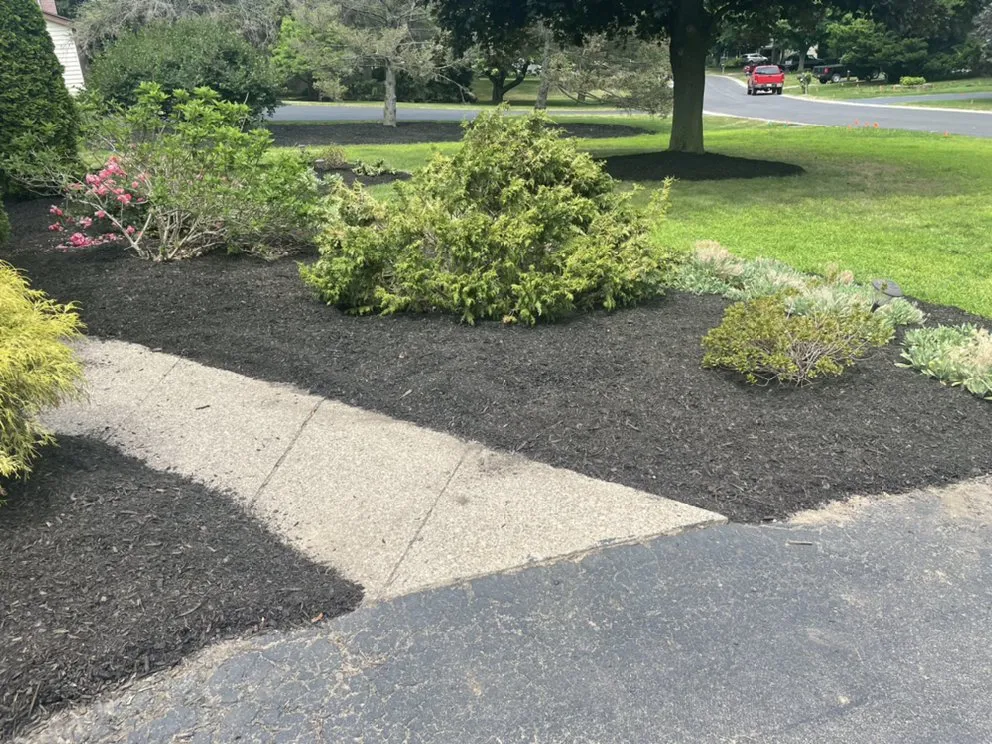 Reliable landscape installation experts serving Walworth, NY - Wilson property maintenance