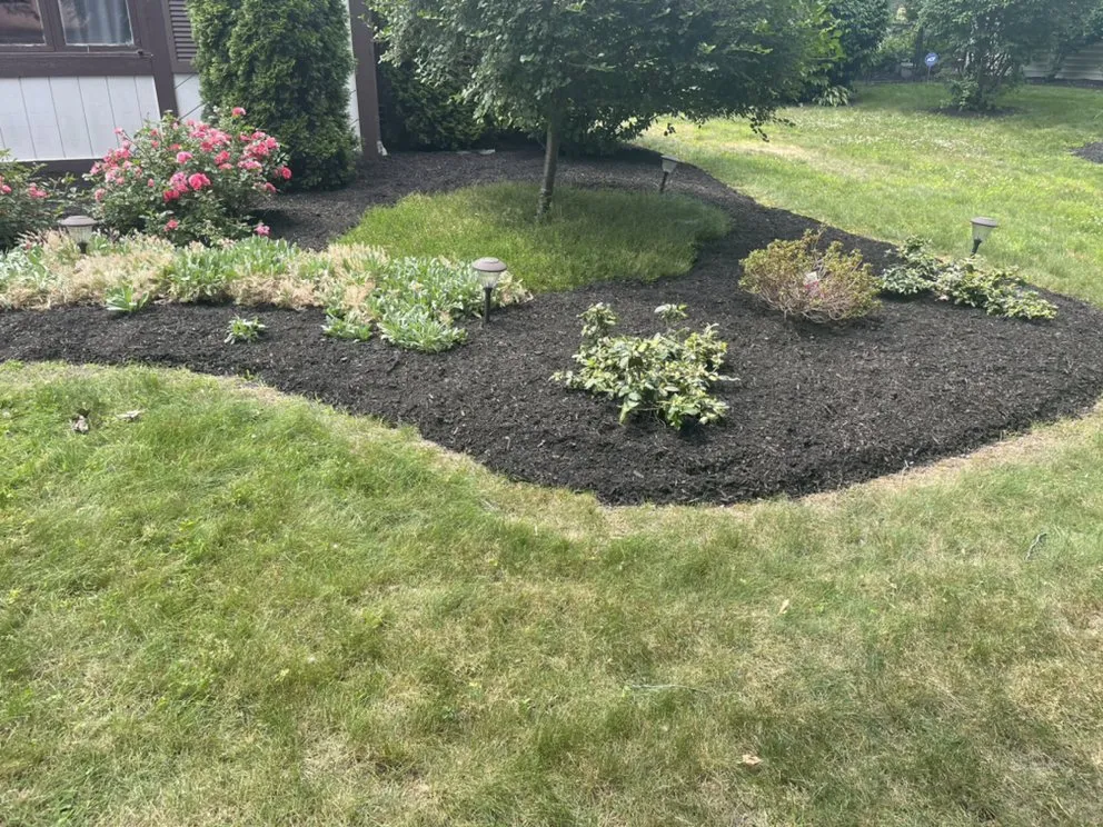Reliable yard cleanup service in Walworth, NY by Wilson property maintenance