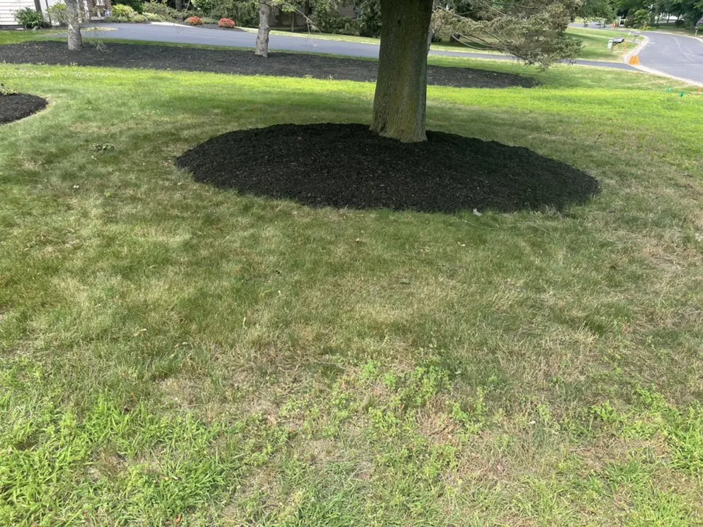 Expert residential landscaping in Walworth, NY by Wilson property maintenance