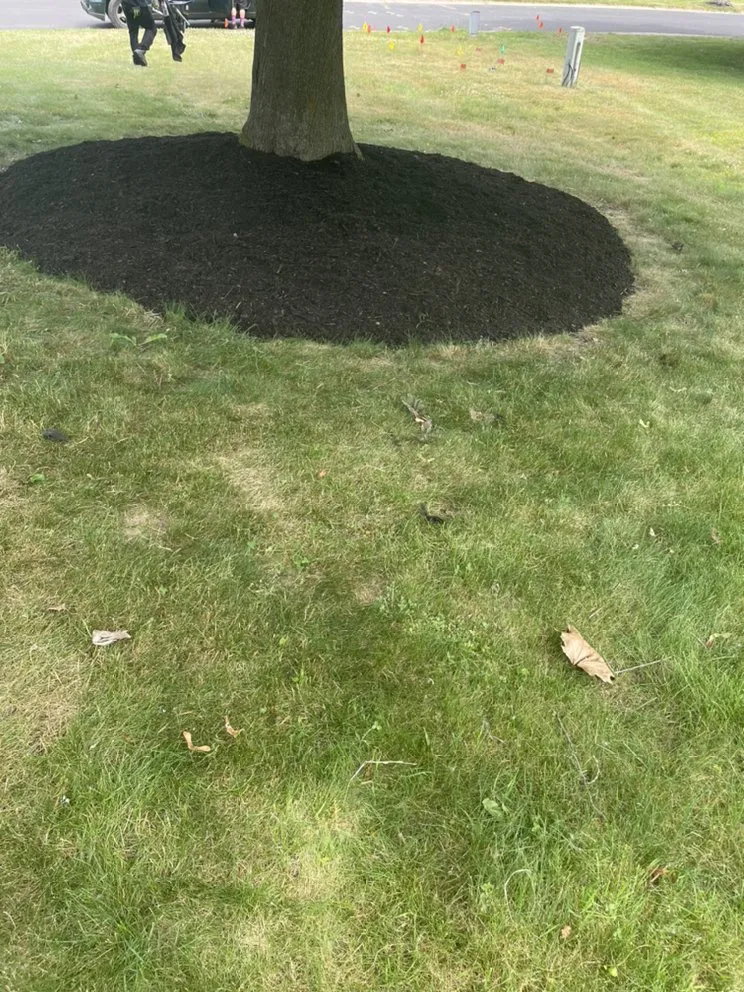 Trusted residential landscaping experts serving Walworth, NY - Wilson property maintenance