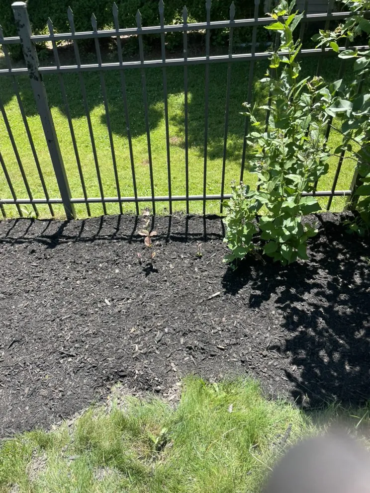 Reliable lawn care service experts serving Walworth, NY - Wilson property maintenance