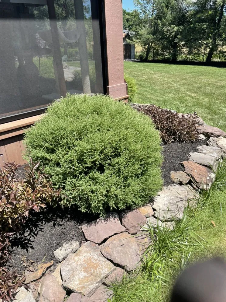 Professional lawn mowing service in Walworth, NY by Wilson property maintenance