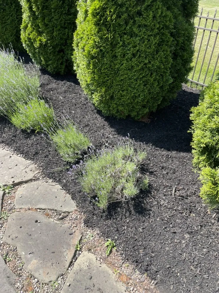 Custom landscape design near you in Walworth, NY by Wilson property maintenance